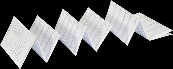 Succes Standard Jahresinhalt Januar - Dezember (9.5 x 17 cm, Deutsch, Englisch, Italienisch, Französisch)