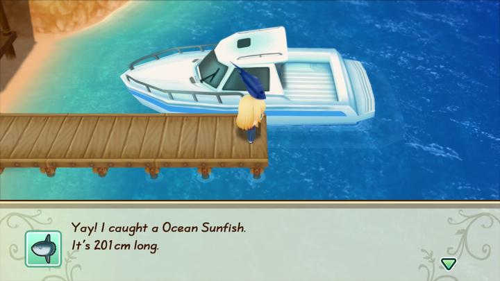 Produktbild Marvelous Story of Seasons : Friends of Mineral Town (Switch, FR)
