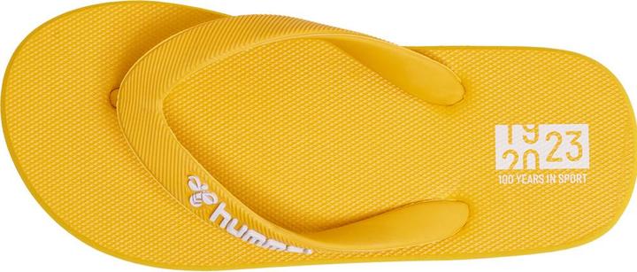 Image du produit hummel Flip Flop Jr (35)