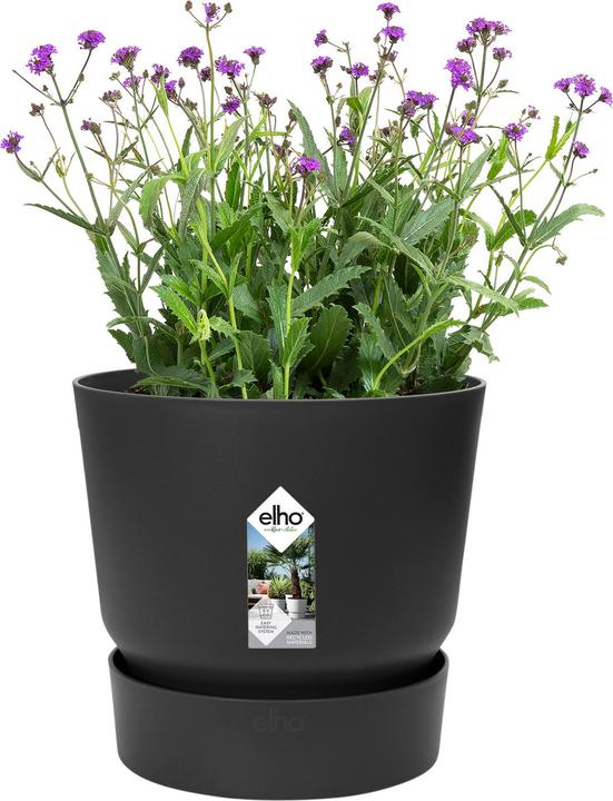 Produktbild Elho Greenville (24.48 cm)
