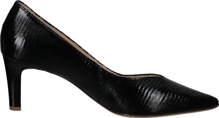 Produktbild Högl Pumps (41)