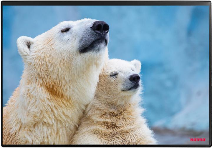 Actual product image Kolma Writing pad poster (polar bear) 50 x 34 (50 x 34 cm)