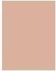 Actual product image Sisley Phyto Complexion Nude No 3C (3C Natural)