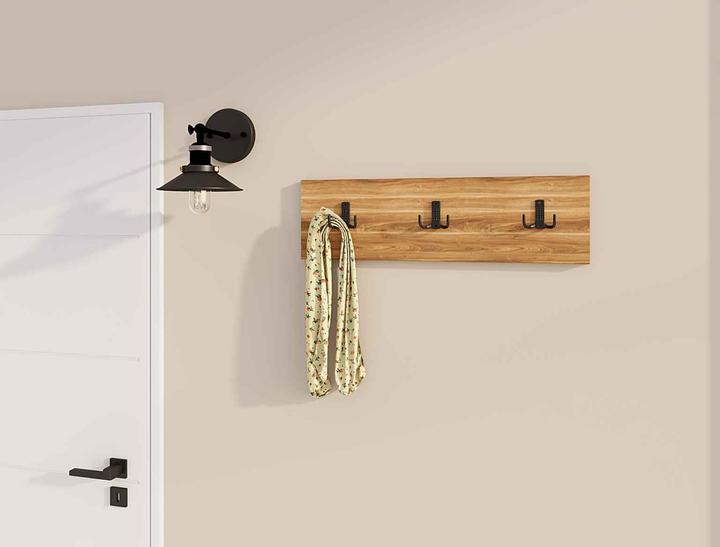 Actual product image Homitis Triook Wall Hook