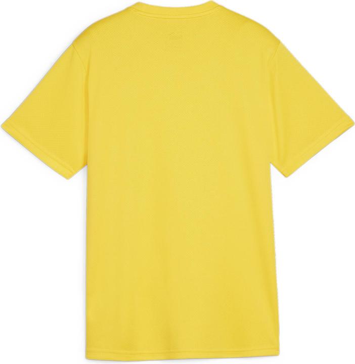 Actual product image Puma teamGOAL Jersey Jr (140)