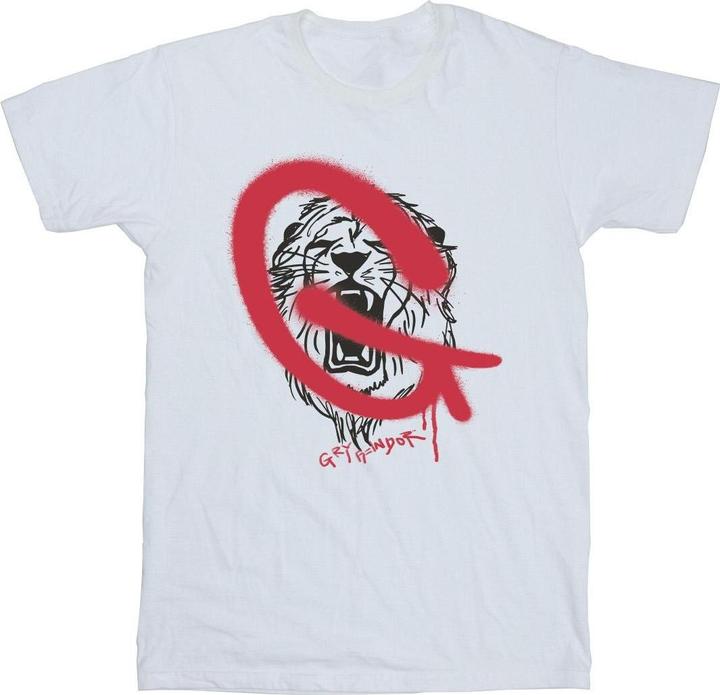 Gryffindor Pop Spray TShirt Jungen