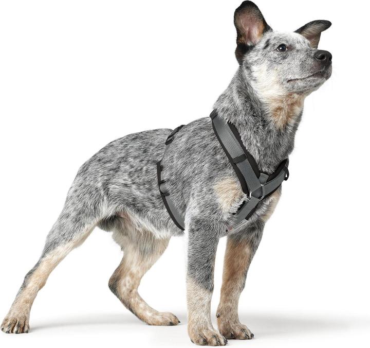 Productafbeelding Hunter Maldon Up hondentuig (M, Hond, Algemeen)