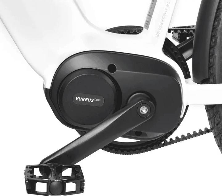 Actual product image AureusDrive DailyDrive M, apricot, low entry, lady, timing belt