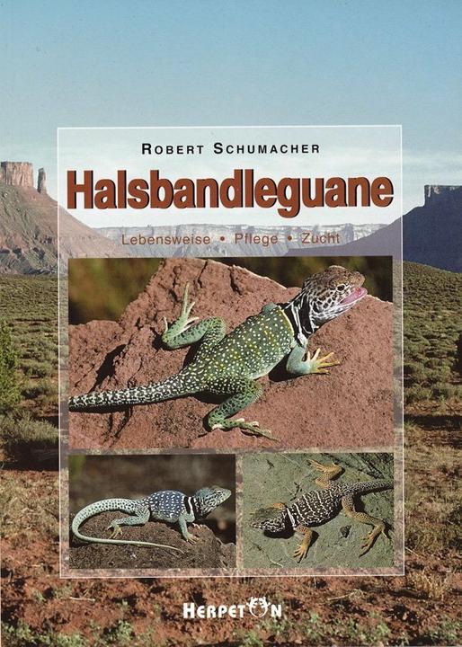 Produktbild Halsbandleguane (Reptilien)