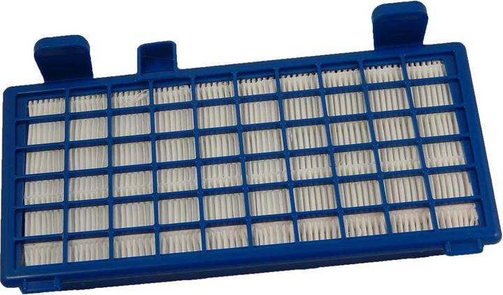 Actual product image AccuCell Vacuum Cleaner Filter for Vacuum Cleaner like Rowenta ZR902301, Hepa Filter