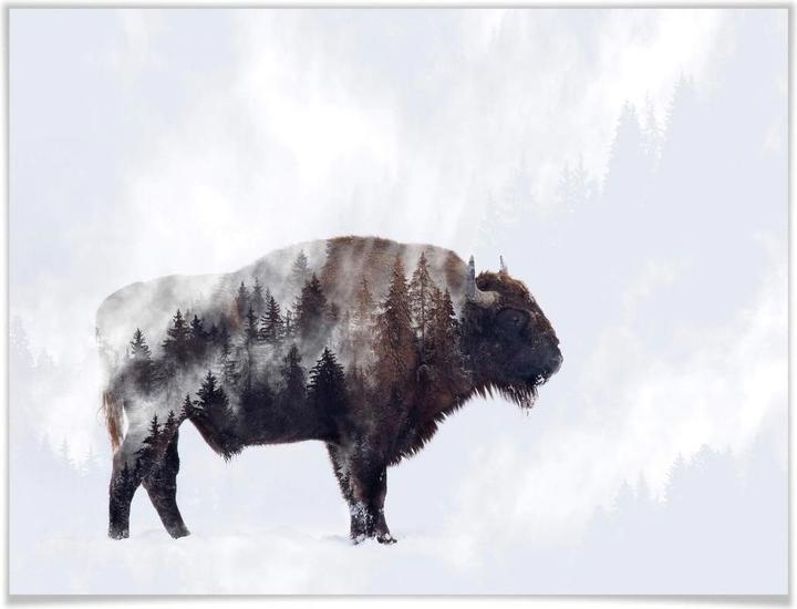 Produktbild Trenddeko Der Bison (80 x 60 cm)