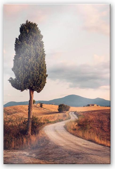 Produktbild Trenddeko Zypressenweg (75 x 120 cm)