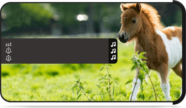 Image du produit Bigben Horses