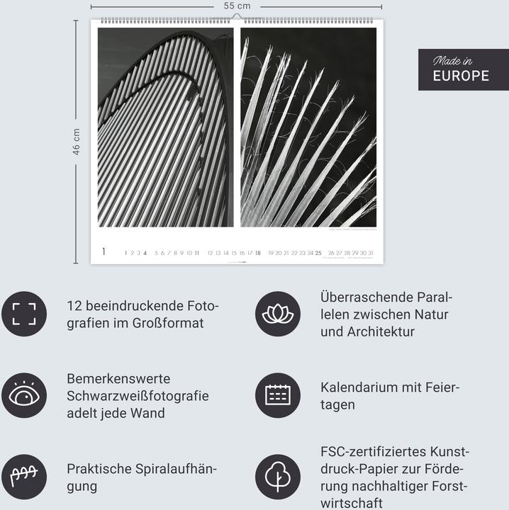 Image du produit Natur : Architektur Kalender 2026 (55 x 46 cm, Allemand)
