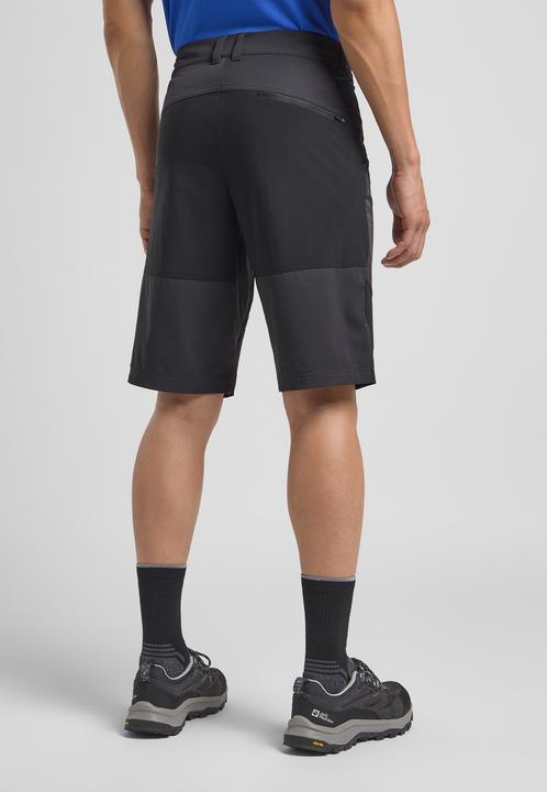 Actual product image Jack Wolfskin Hiking Alpine Short M (50)
