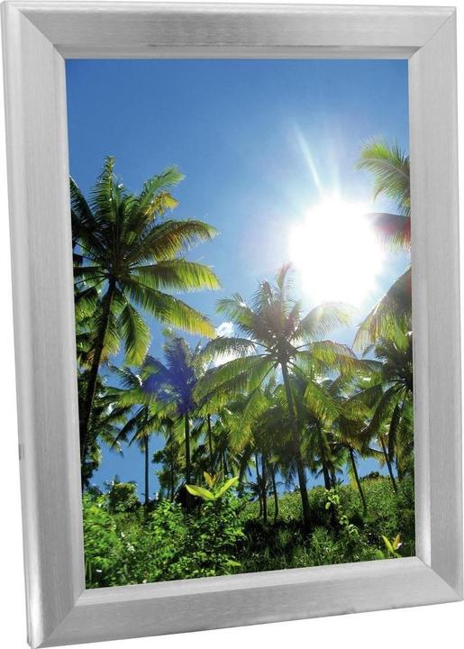 Europalms Advertising wall A2, illuminated, aluminium