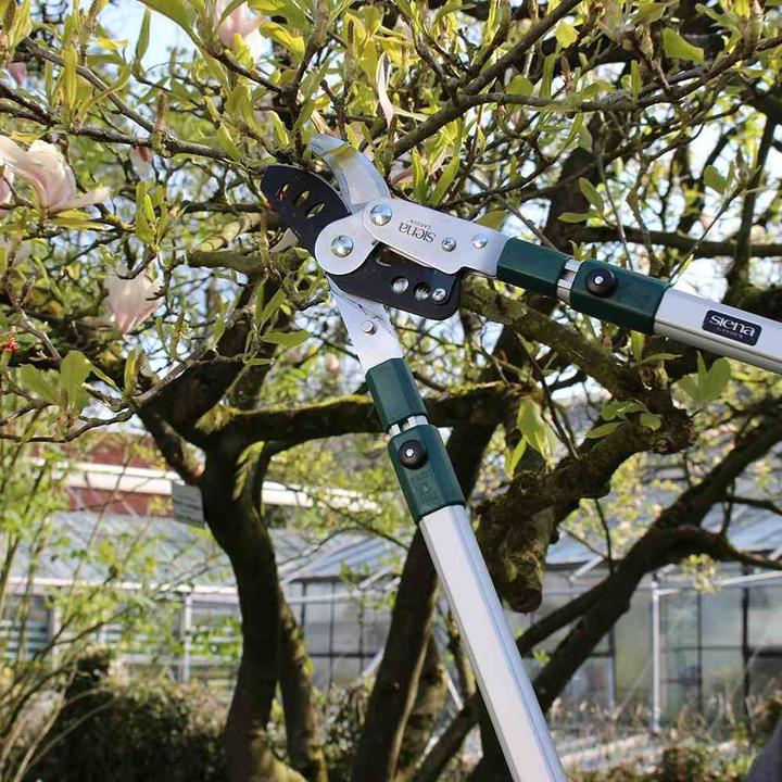 Produktbild Siena Garden Astschere Bybass Teleskop