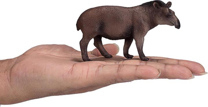Actual product image small foot Brazilian tapir