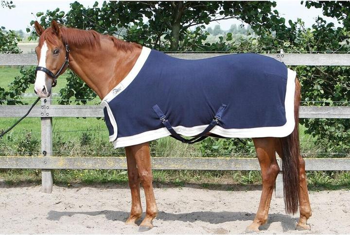 Harry's Horse Pferdedecke Modell Zustand mit Brustklappe