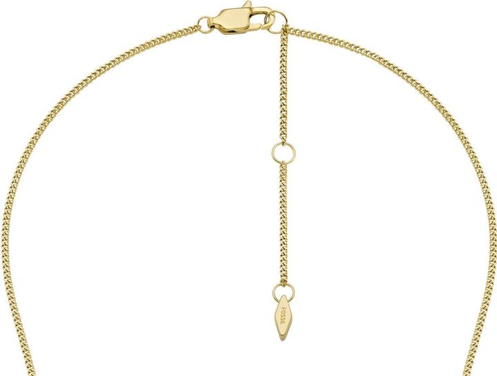 Image du produit Fossil Heritage (Acier inoxydable, 40 - 45 cm)