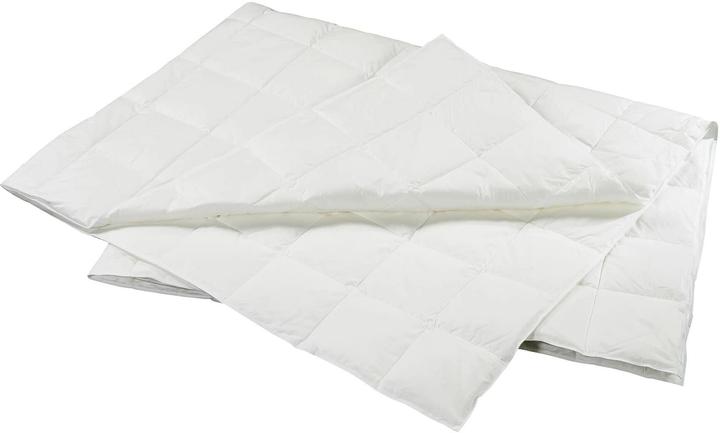 Billerbeck Duvet Recycled Goose Superlight 160 x 210 cm (260 g, 160 x 210 cm)