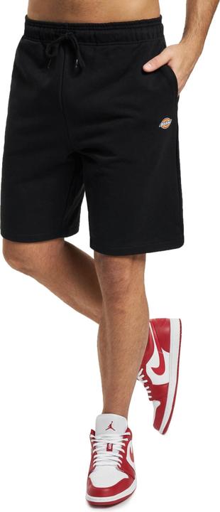 Dickies Mapleton Shorts - 121655 (L)