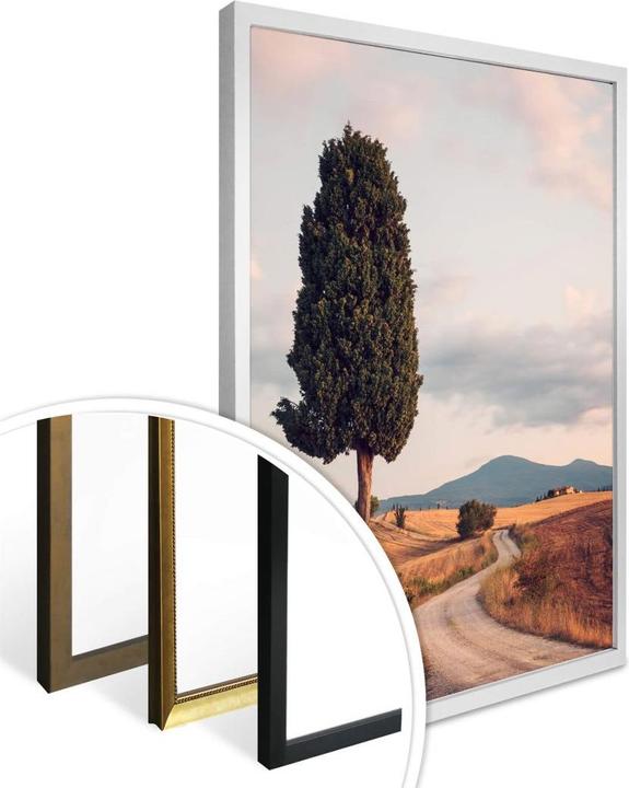 Produktbild Trenddeko Zypressenweg (50 x 60 cm)