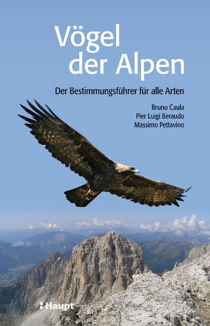 Produktbild Vögel der Alpen (Deutsch, Pier Luigi Beraudo, Bruno Caula, Massimo Pettavino, 2010)
