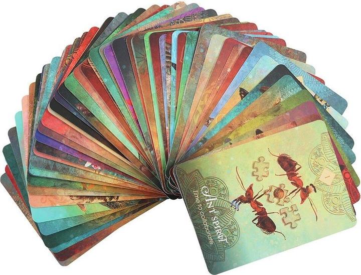 Produktbild Colette Baron-Reid OracleKarten The Spirit Animal (Deutsch, Colette Baron-Reid)