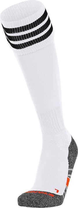 Actual product image Stanno Ring Sock (41, 44)