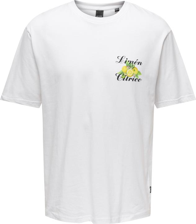 Only & Sons Onskeane Rlx Ss Print Tee Noos (XXL)