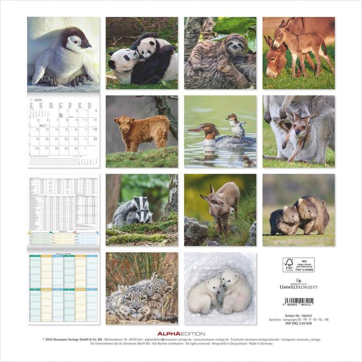 Produktbild Alpha Edition Tierbabys 2026 - Broschürenkalender 30x30 cm (30x60 geöffnet) - Kalender mit Platz für Notizen - (30 x 30 cm, Harter Einband, Niederländisch, Englisch)