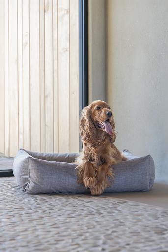 Produktbild Designed by Lotte Unnay (Hund)