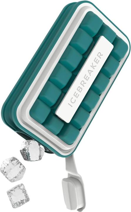Actual product image Icebreaker Nordic: Pop