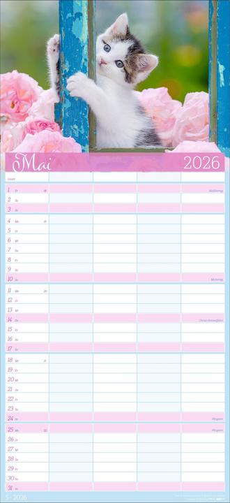 Produktbild Cool Cats Familienplaner 2026 (22 x 48 cm, Harter Einband, Deutsch)