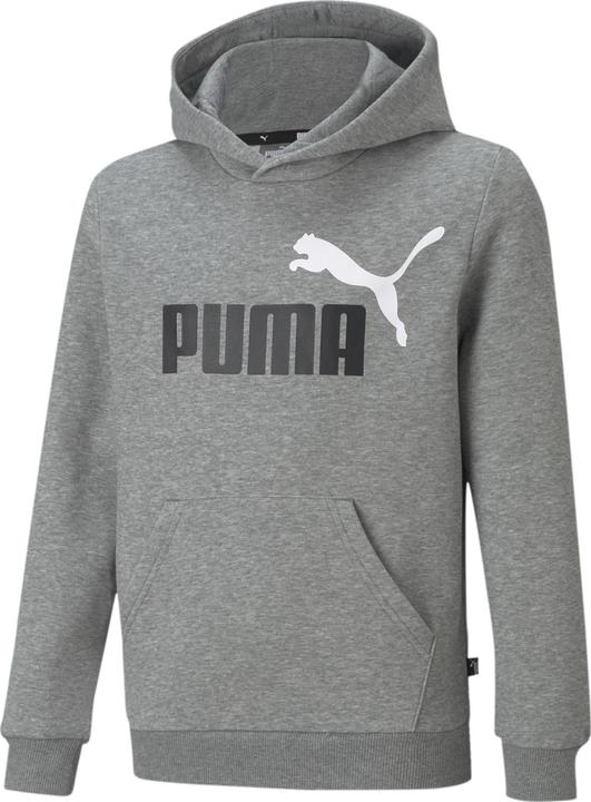 Puma ESS+ 2 Col Big Logo Hoodie FL B