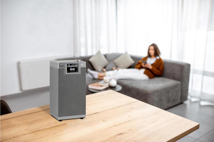 Immagine prodotto Imperial Dabman i610 (Web radio, DAB, VHF, FM, Bluetooth, WiFi)