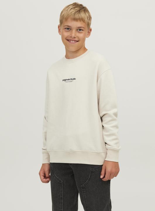 Produktbild Jack & Jones Jorvesterbro Sweat Crew Neck Bn Mni (116)