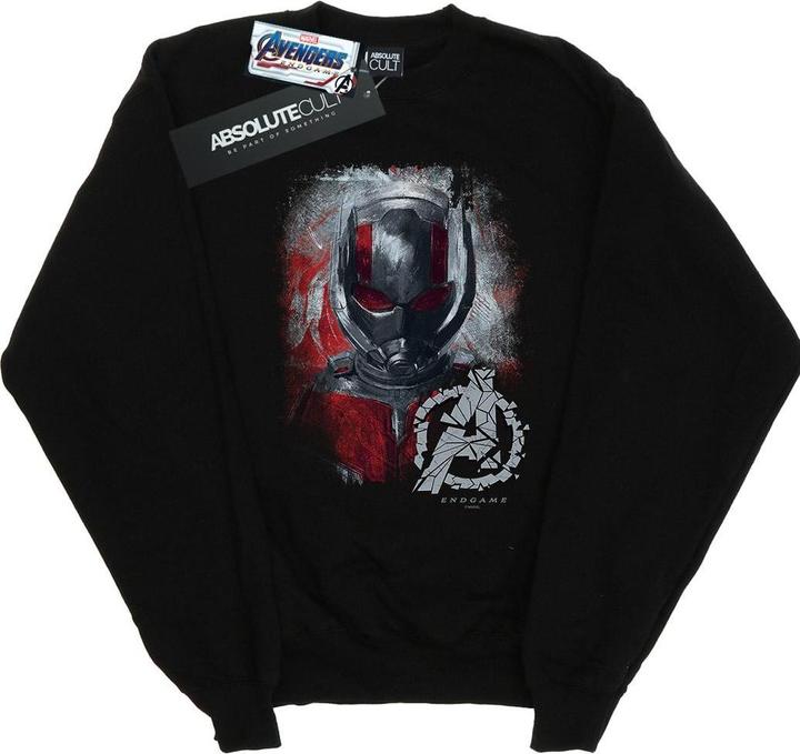 Avengers Endgame AntMan Brushed Sweatshirt Jungen