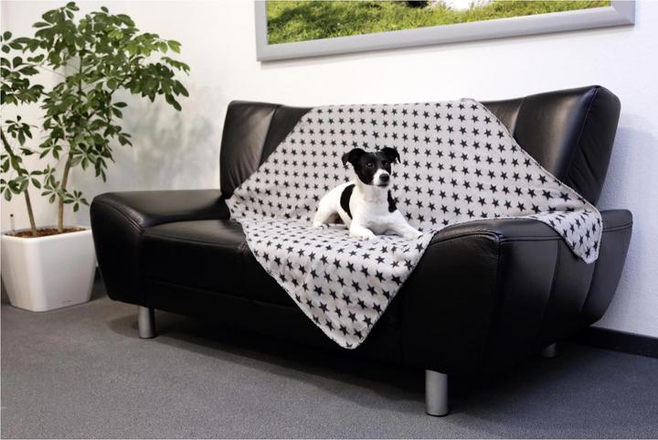 Actual product image Kerbl Stella (Cat, Dog)