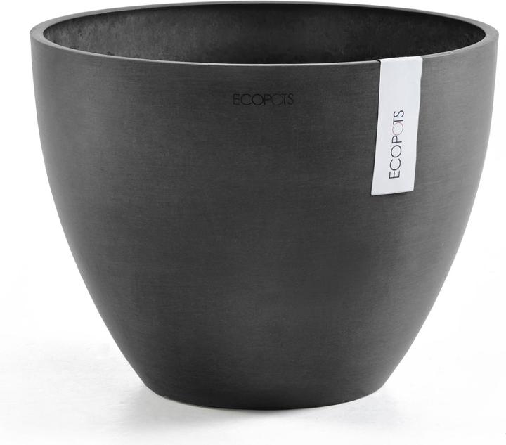 Ecopots Antwerp