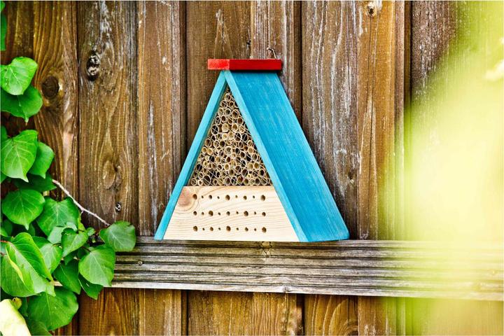 Actual product image Windhager Bee kit (Wild bees)