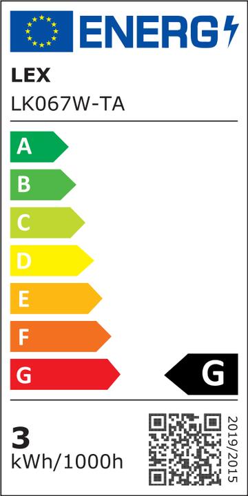 Energie-Label Inda-Exclusiv XXL 100 LED Tannengirlande Lichterkette 810cm Girlande innen und aussen (8.10 m)