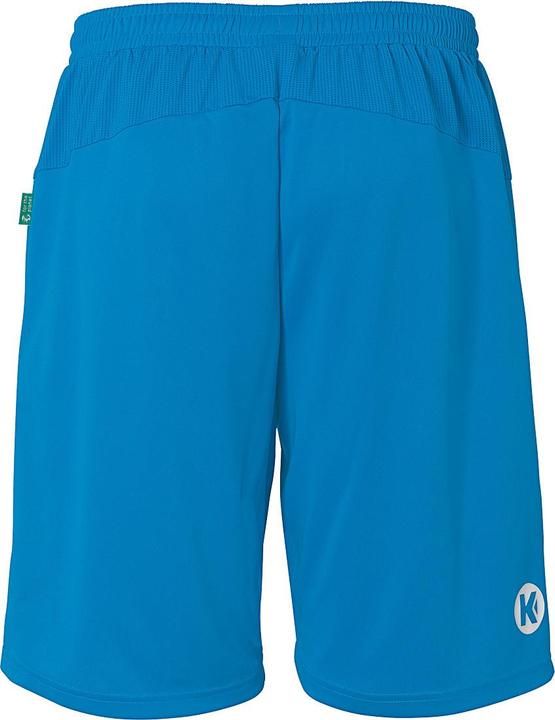 Actual product image Kempa Shorts Performance (152)