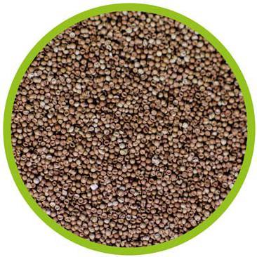 Produktbild Hobby Artemia Eier (Jungfische, 20 ml)