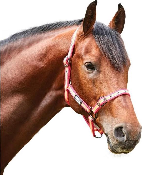 Immagine prodotto Roma Strisce Cavezza per Cavallo