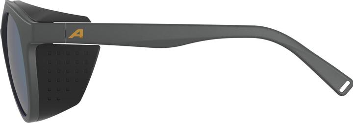 Immagine prodotto ALPINA SPORTS Glace P