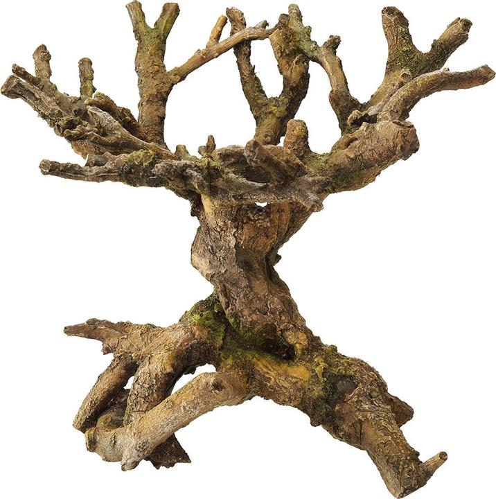 Image du produit EBI Aqua Della Bonsai brun sans feuilles (autres éléments)