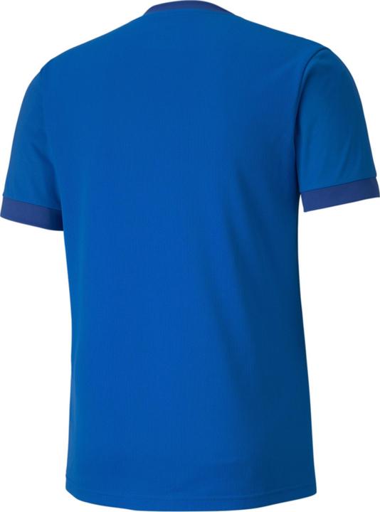 Actual product image Puma teamGOAL 23 Jersey-704171 (S)