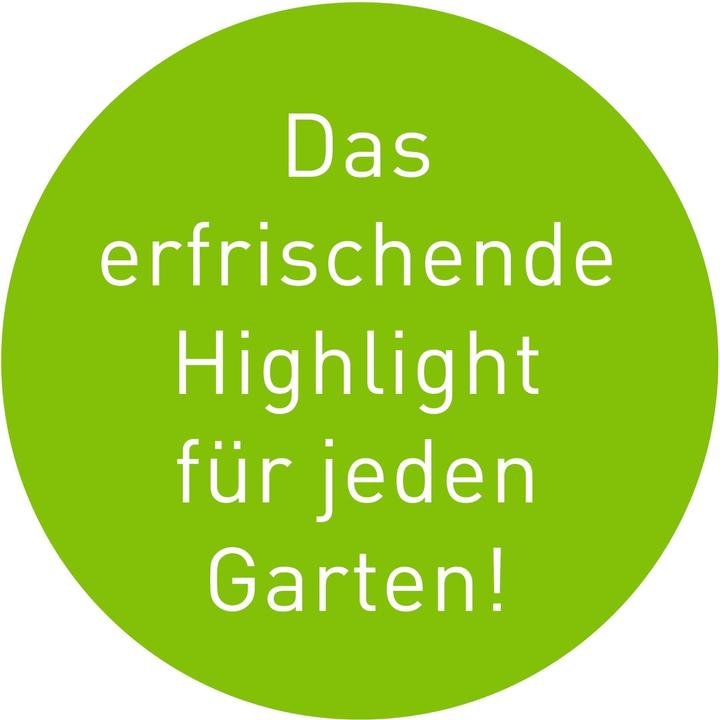 Produktbild Garvida Solar-Gartenfontäne (Flächenregner)